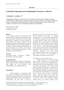 Full version (PDF file) - Complex of Biomedical Institutes at Krc