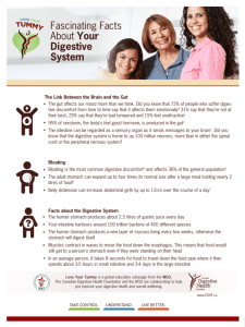 Fascinating Facts About Your Digestive System