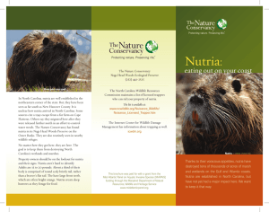 Nutria - The Nature Conservancy