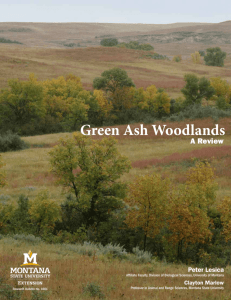 Green Ash Woodlands