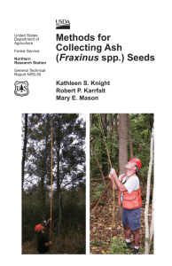 Methods for Collecting Ash (Fraxinus spp.) Seeds