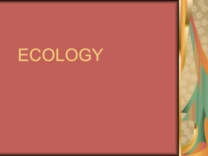 Ecology Overview