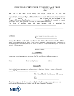 writing essay for ielts tips word