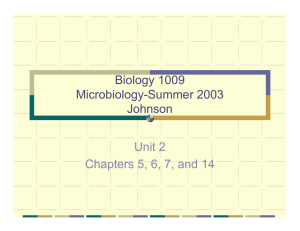 Biology 1009 Microbiology-Summer 2003 Johnson Unit 2 Chapters