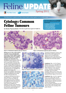 Cytology: Common Feline Tumours