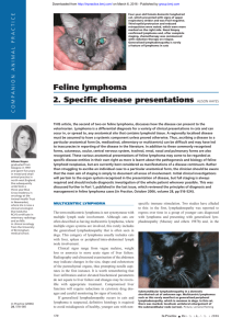 Feline lymphoma 2. Specific disease presentations