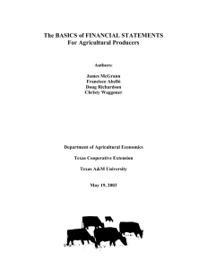 The Basics of Financial Statements for