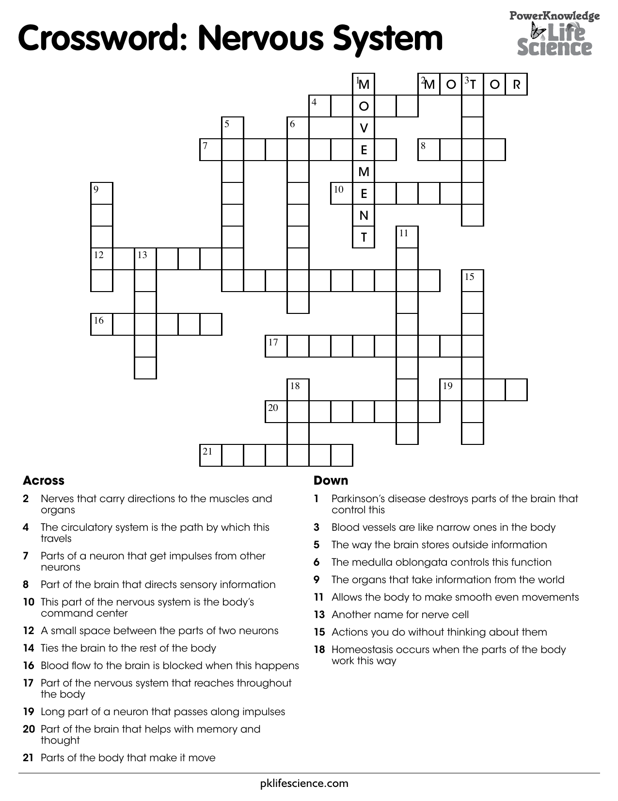 crossword puzzle nervous system answer velvety dreams