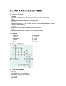 CHAPTER 8: THE NERVOUS SYSTEM - The ICD