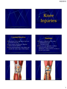Knee Injuries - Morphopedics