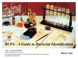 A Guide to Bacterial Identification