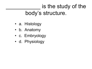______ is the study of the body's structure.