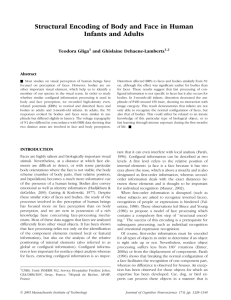 Structural Encoding of Body and Face in Human Infants and Adults