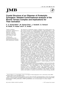 Crystal Structure of an Oligomer of Proteolytic Zymogens: Detailed