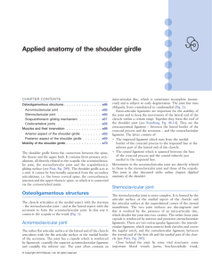 Applied anatomy of the shoulder girdle - Online