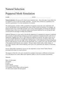 Natural Selection Peppered Moth Simulation