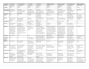 Animal Phylum Summary Chart