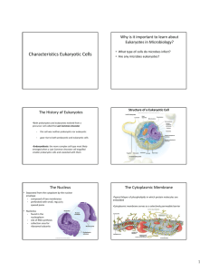 Characteristics Eukaryotic Cells