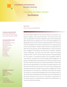 Country Studies Series: Suriname - Heller School for Social Policy