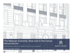 The Mexican Economy: Now and in the Future