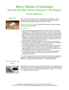 Stain Removal Tips - Merry Maids Uxbridge