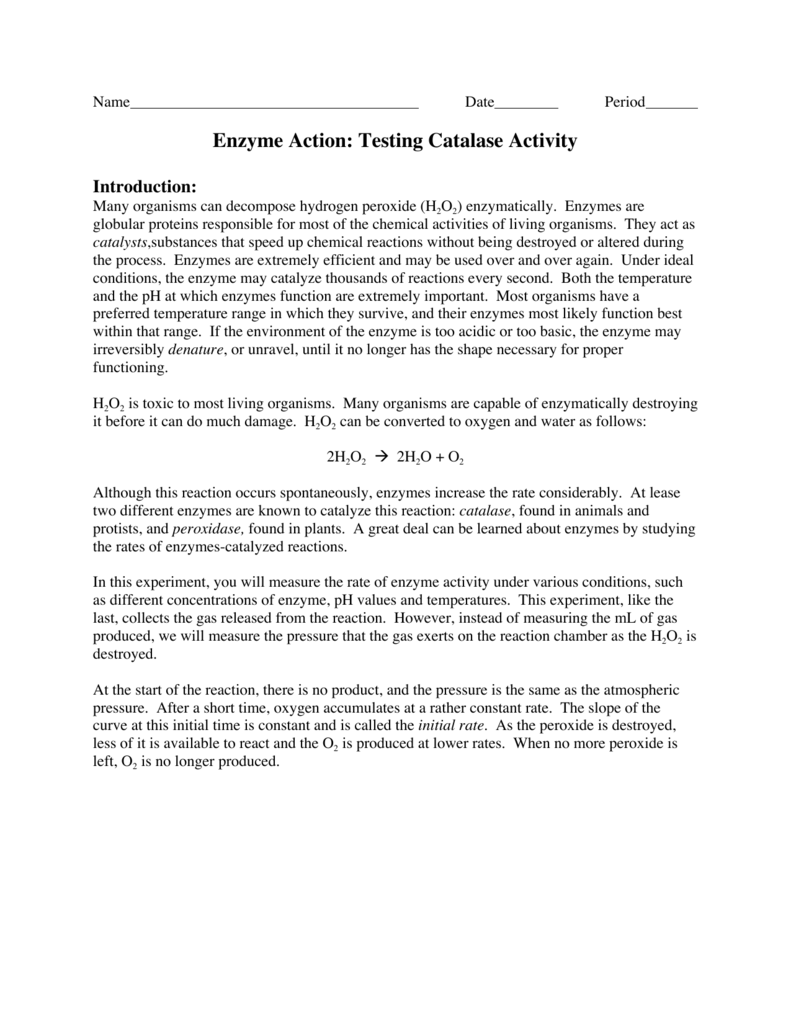 catalase enzyme activity lab report