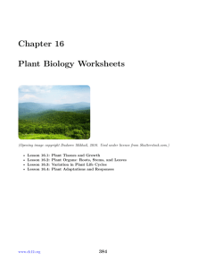 Chapter 16 Plant Biology Worksheets