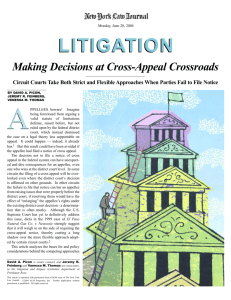 Making Decisions at Cross-Appeal Crossroads