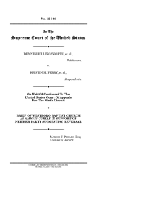 Fag Marriage Amicus Brief