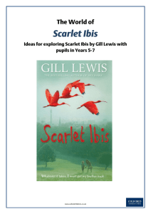 Scarlet Ibis reading notes