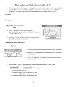 Photosynthesis vs. Cellular Respiration Test Review