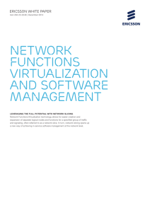 Network functions virtualization and software management