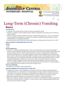 Long-Term (Chronic) Vomiting - Joondalup Central Veterinary Hospital