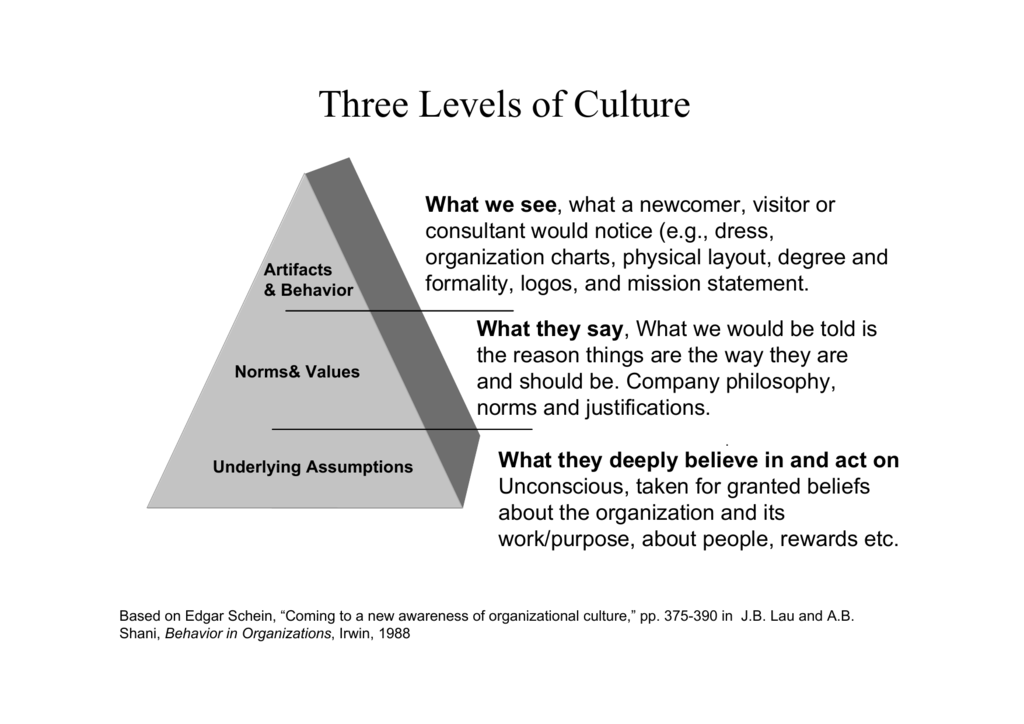 three levels of culture
