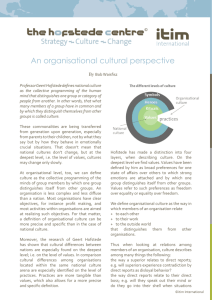 An organisational cultural perspective