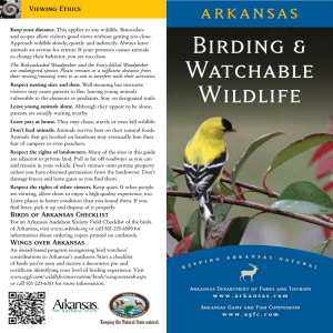 Birding & Watchable Wildlife