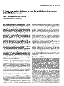 A Hyperpolarization-Activated of the Medicinal Leech Inward