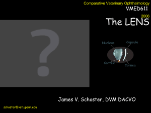 Examination of the EYE