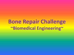 Bone Repair Challenge