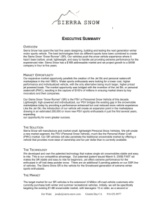 executive summary - Sierra Snow