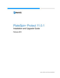 PlateSpin Protect 11.0