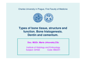 Types of bone tissue, structure and function. Bone histogenesis