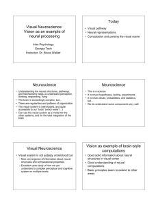 Visual Neuroscience: Vision as an example of neural processing