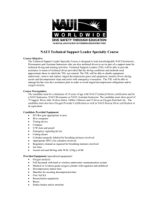 Technical Support Leader Specialty Course Outline