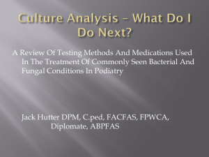 Culture Analysis – What Do I Do Next?