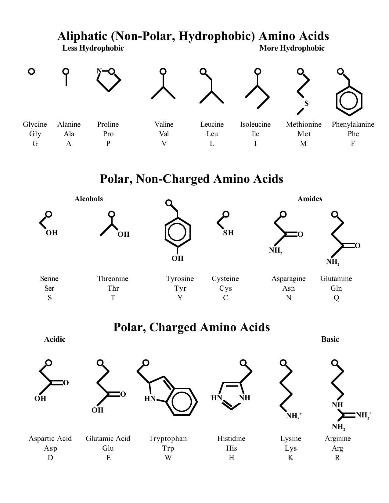 Amino Acids Chart Polar Nonpolar