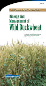 Biology and Management of Wild Buckwheat