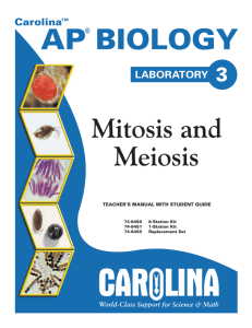 AP Biology 3 Manual