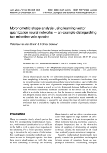 Morphometric shape analysis using learning vector quantization