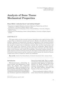Analysis of Bone Tissue Mechanical Properties